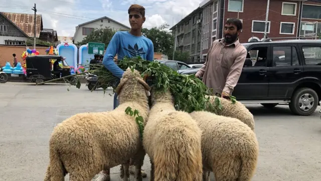 श्रीनगर में जानवर बेचते चरवाहे