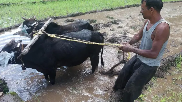 आधुनिकिकरण