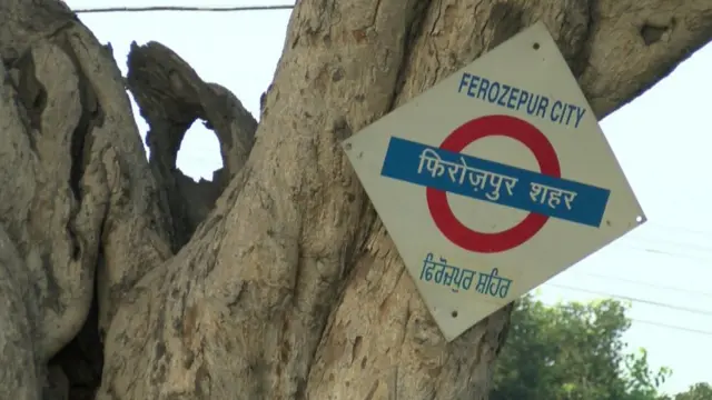 सफ़िया बँटवारे से पहले भारतीय पंजाब के फ़िरोज़पुर शहर में रहती थीं.