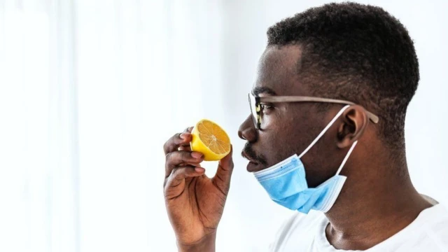 ประสาทรับกลิ่นของมนุษย์