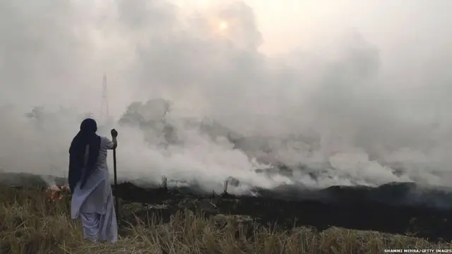 ਪਰਾਲੀ ਸਾੜਦਾ ਕਿਸਾਨ