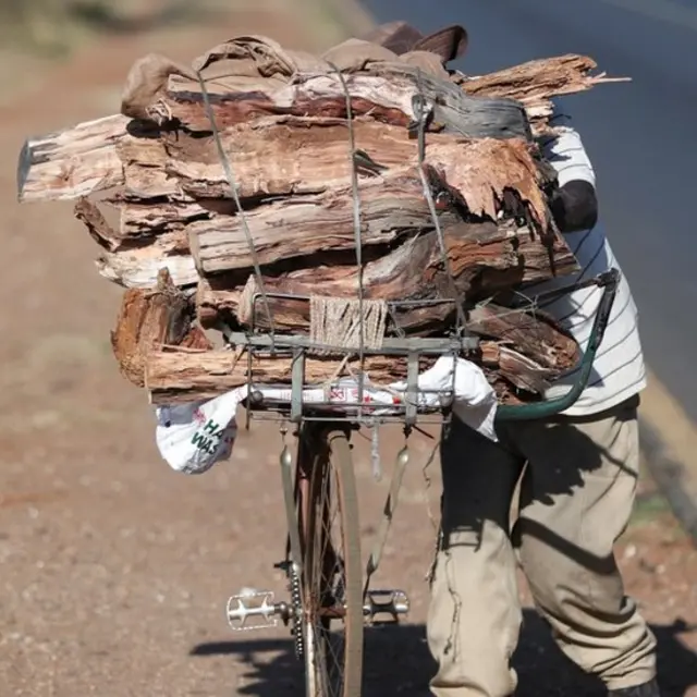 Un hombre lleva una carga de leña en su bicicleta