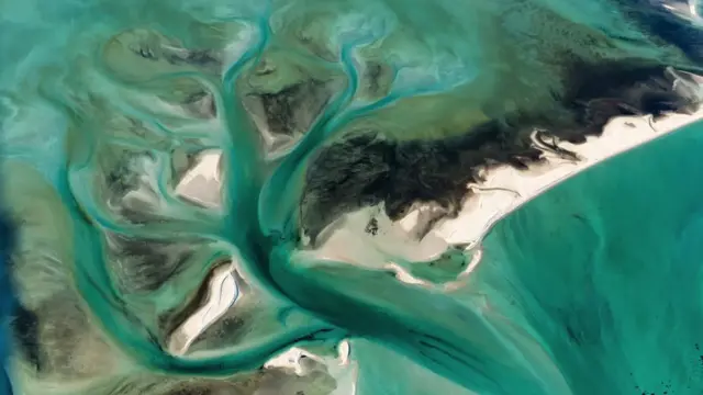 샤크베이는 지난 2011년 극심한 폭염 속에서 2 달간 수온이 최고 5℃까지 올랐다