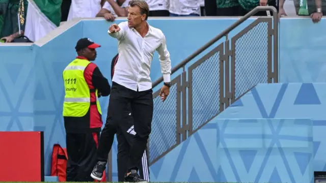 Hervé Renard durante el partido contra Argentina.