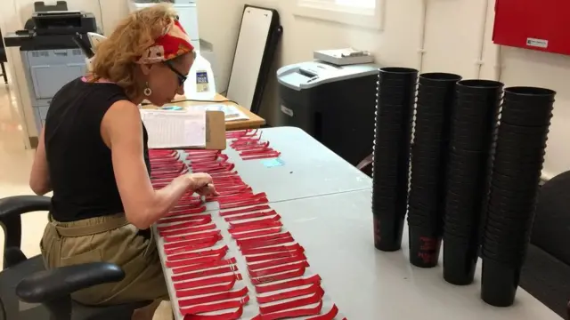 L'entomologiste Alexandra Spring examine des bandes contenant des œufs de moustiques dans le cadre du programme de surveillance de Guantanamo Bay