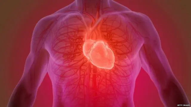 हेल्थ, दिल, कसरत