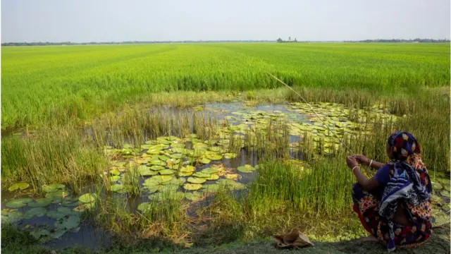 বড়শি দিয়ে মাছ ধরা