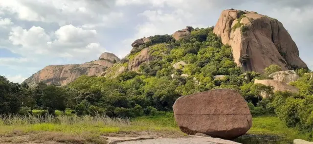 બેટ્ટા અભ્યારણ્ય