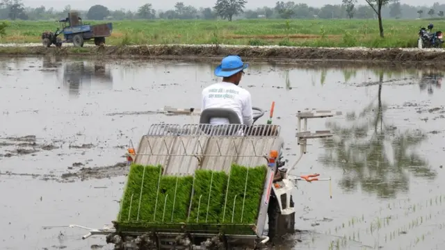 आधुनिक रोपाइँ