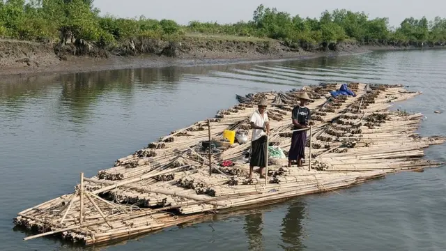 কালাদান নদীপথে বাঁশ নিয়ে স্থানীয়দের যাত্রা