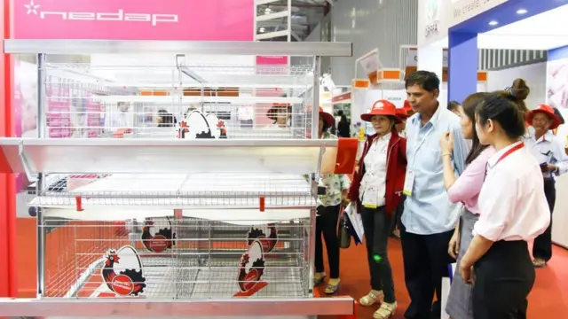 Triển lãm tại TPHCM