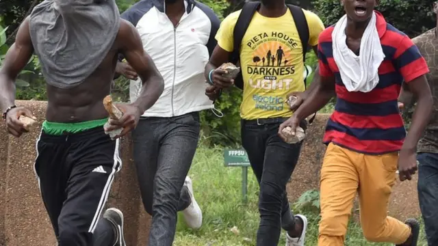 Ụmụakwụkwọ bu okwute na-eme ngagharịiwe