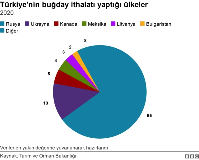 Türkiye buğday ithalatında Rusya ve Ukrayna'nın ağırlıklı payı