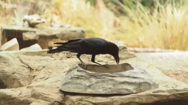 .