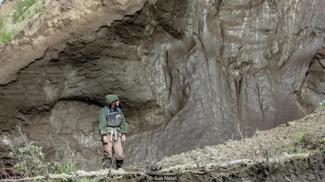 La doctora Sue Natali en el Ártico