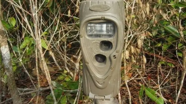 ক্যামোফ্লেজ রং করা ক্যামেরাগুলো সর্বক্ষণ সচল থাকে। সামনে কোনও নড়াচড়া ধরা পড়লেই ক্যামেরাটি ছবি তোলে