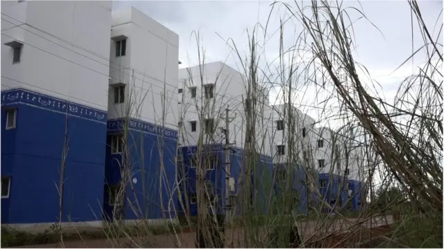 టిడ్కో ఇళ్లు సిద్ధమైనా, లబ్ధిదారులకు అందివ్వకపోవడంతో ఇలా పిచ్చి మొక్కలు మొలుస్తున్నాయి.