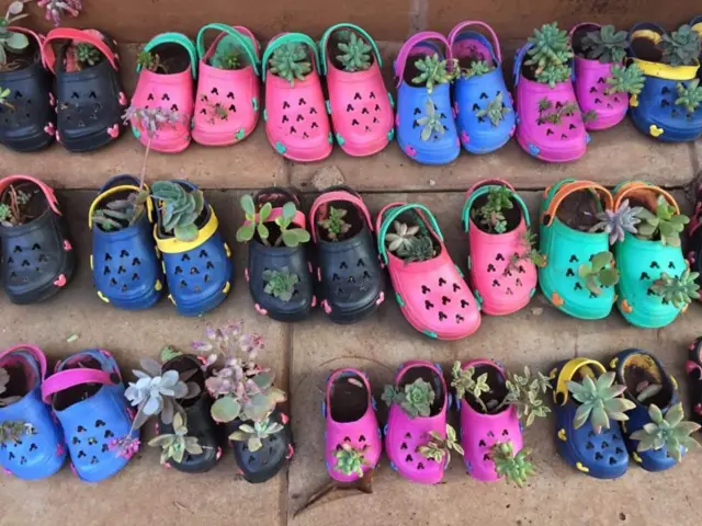 Maua yamepandwa kwenye viatu vya plastiki