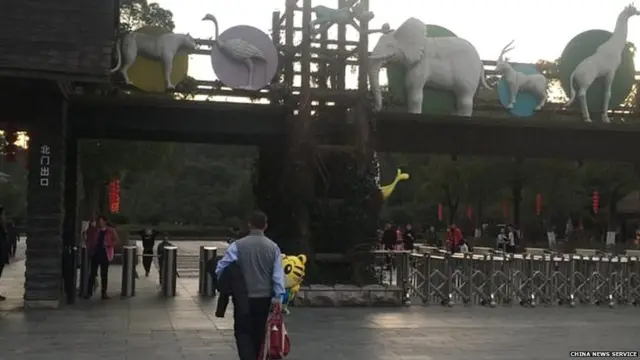 चीन का चिड़ियाघर