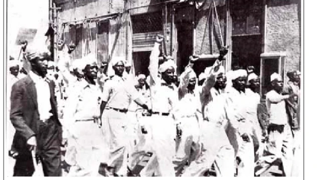 ሰልፊ ዘካይዱ