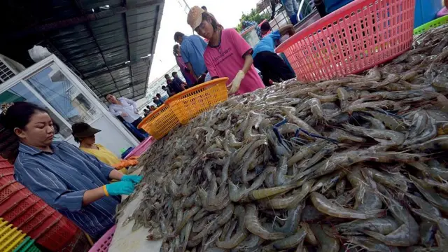 คนงานคัดเลือกกุ้ง