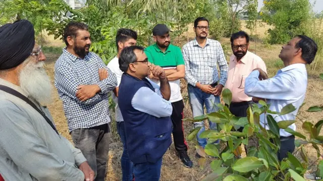 ਜੰਗਲ ਲਗਾਉਂਦੇ ਲੋਕ