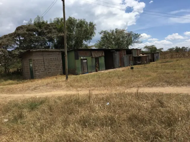 Guryaha soomaalida ay ku leedahay Naivasha