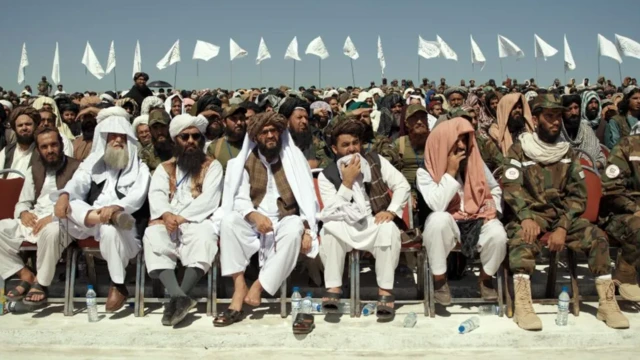 ہالی وڈ گیٹ
