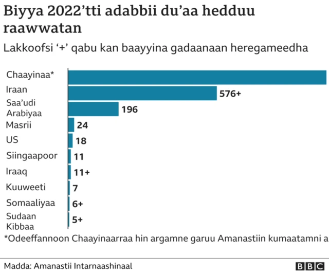 Biyyoota bara 2022 adabbii du'aa raawwatan