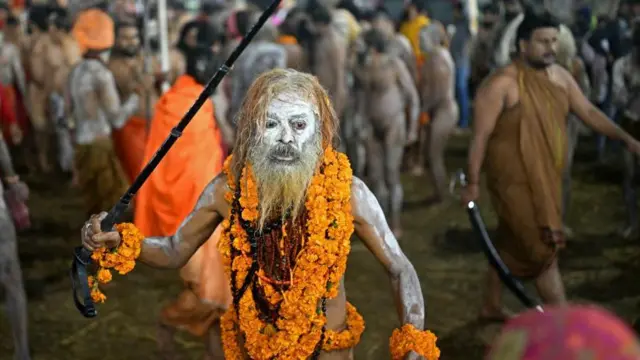 कुंभमेळ्यातील नागा साधू