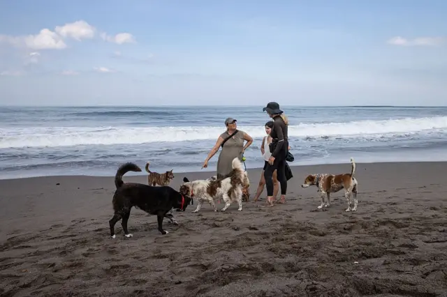 Sekelompok turis tengah bermain dengan anjing di pantai Berawa, Canggu, Bali.