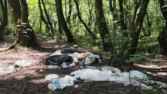 زباله در طبیعت