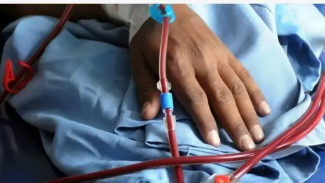 Aworan ọwọ ti wọn n fa ẹjẹ si lara