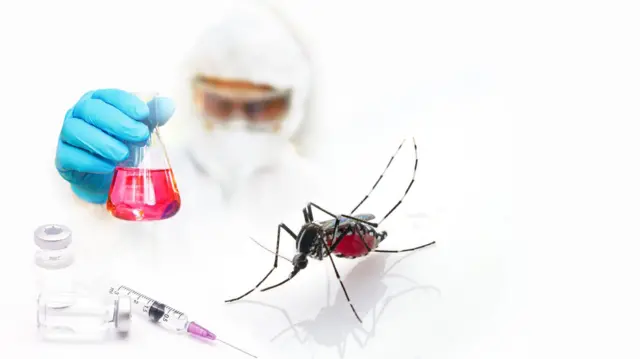 টিকার মাধ্যমে ডেঙ্গুর ভয়াবহতা কমিয়ে আনা সম্ভব বলে মনে করেন বিশেষজ্ঞরা