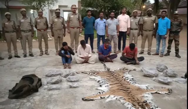 புலிவேட்டை