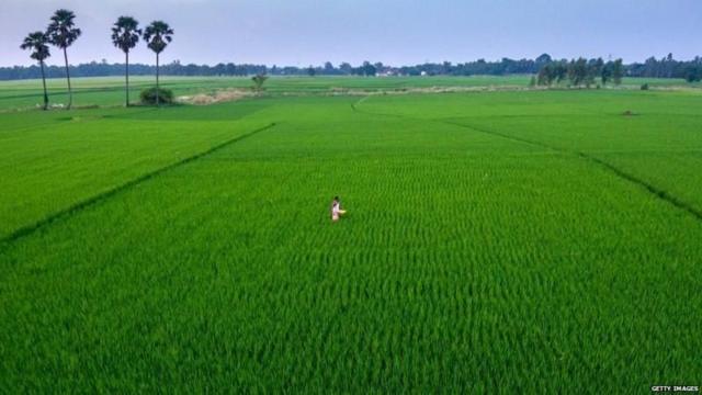விவசாய நிலம்