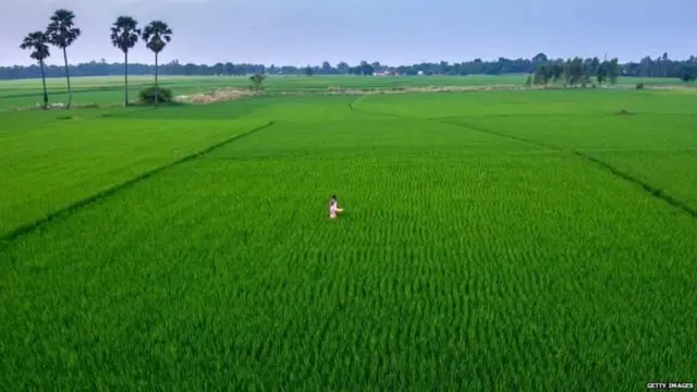 விவசாய நிலம்