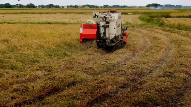 လယ်ယာလုပ်ငန်းတွေမှာ စက်သုံးဆီလိုအပ်ချက် ကြီးမြင့်နေတာပါ။ (ပုံဟောင်း)