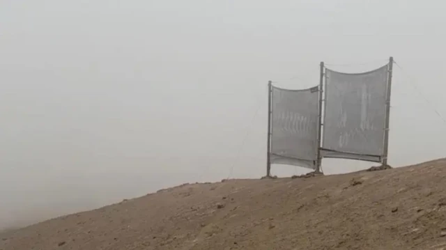 دھند