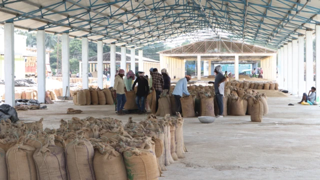 మొంథా తుపాను, తారమ్మ, రేవంత్ రెడ్డి, ధాన్యం కొనుగోళ్లు