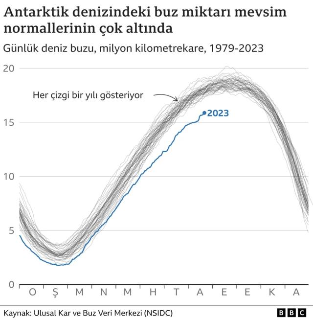 Deniz buzu miktarı mevsim normallerinin çok altında
