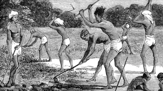 प्रातिनिधिक फोटो