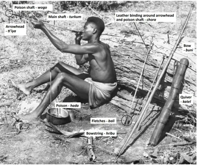 Meeshaa adamoo Waataa