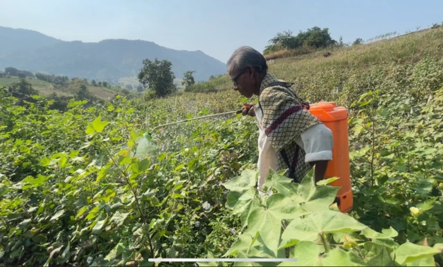 કસોદિયા ગામના ખેડૂત કાંતિભાઈ વસાવા