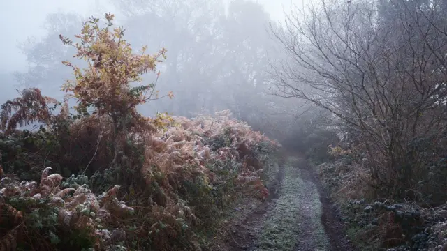 Зимний пейзаж на юге Англии