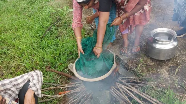విశాఖ, అరకు, కాఫీ తోటలు, బెర్రీ బోరర్
