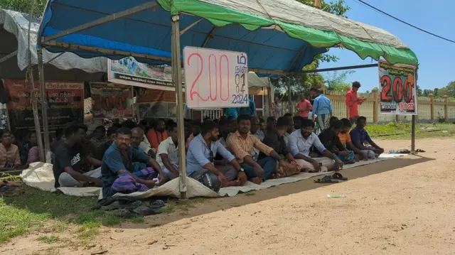 இலங்கை, மட்டக்களப்பு, தமிழர்கள், சிங்களர்கள், விவசாயம், கால்நடை, மாடுகள் 