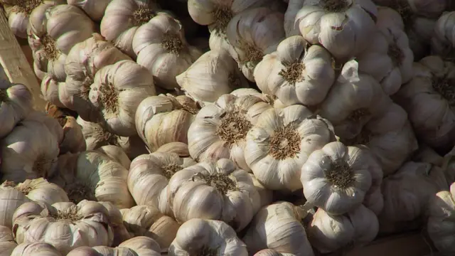 नेपाली लसुन 