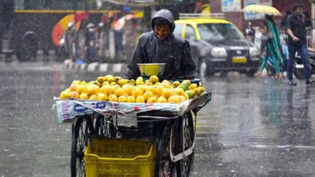 மாம்பழ ஏற்றுமதி, அமெரிக்கா, இந்திய மாம்பழங்கள்