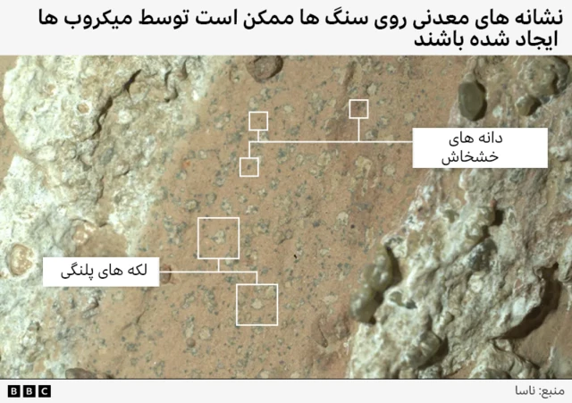 تصویر گرافیکی که نمای نزدیکی از سنگهای مریخ را نشان میدهد، همراه با برچسبهایی که به نقاط لکهدار (مانند پوست پلنگ) و دانههای خشخاش اشاره میکند.
